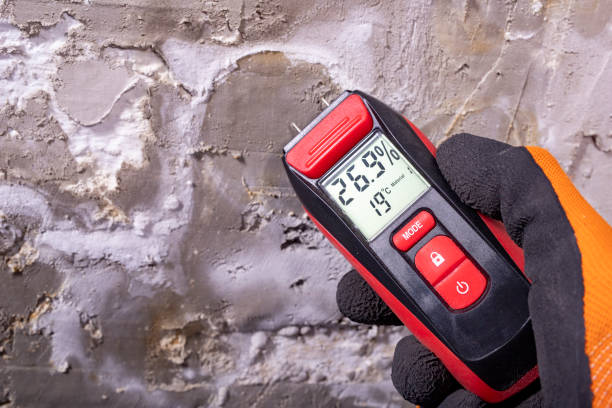 Best Fast Mold Removal  in San Mateo, CA