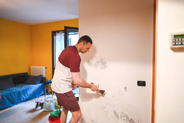 Best Mold Removal Near Me  in San Mateo, CA
