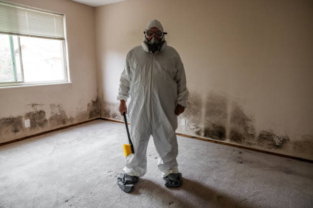Best Commercial Mold Removal  in San Mateo, CA